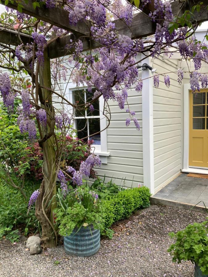 Country Bliss Cottage Greytown Dış mekan fotoğraf